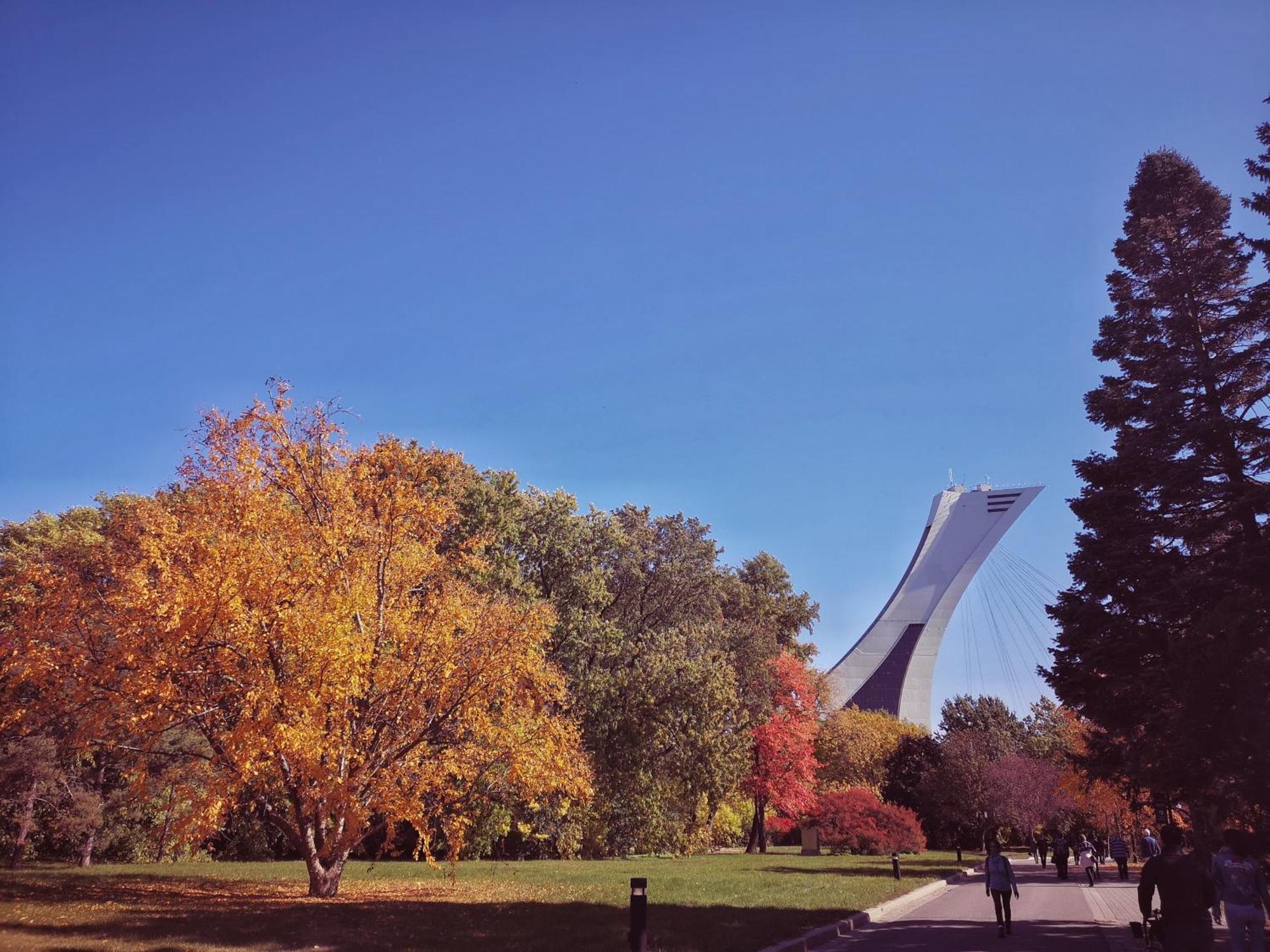 Homa Homestay Hotel By Olympic Stadium Montreal Auberge-Hostel, Montreal
